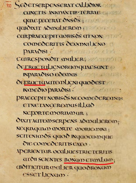Fragmento manuscrito de la Vulgata con texto latino y palabras subrayadas en rojo, relacionado con el relato del Génesis y la traducción de Jerónimo.
